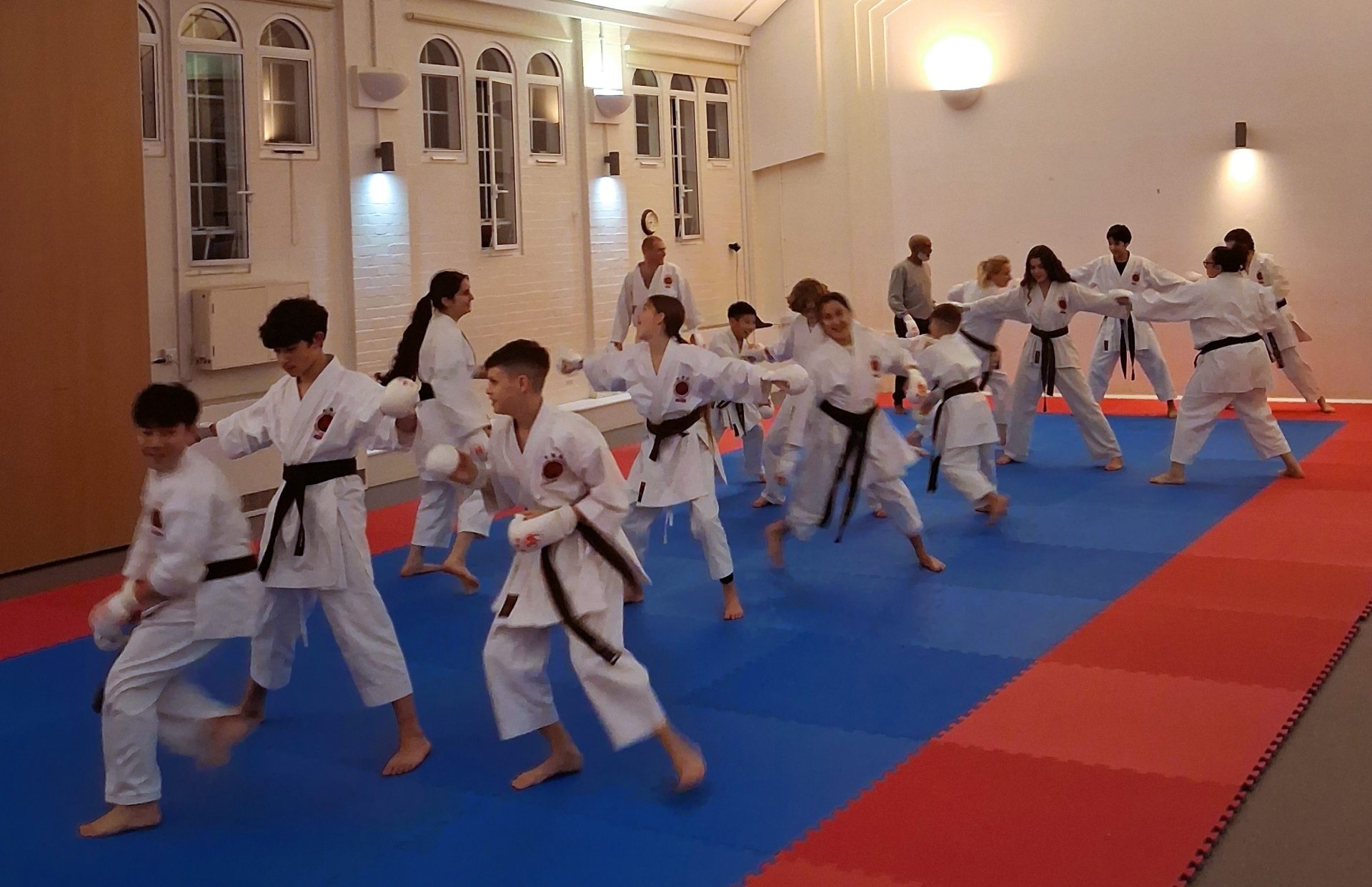 tiska karate class tiska karate class